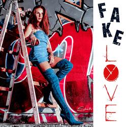 Fake Love