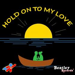 Hold on to My Love
