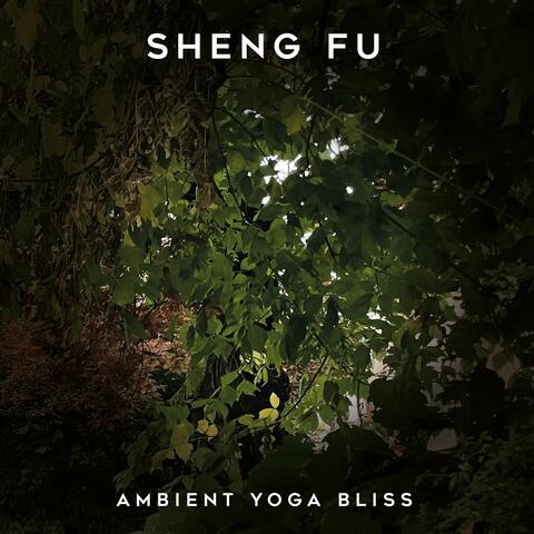 Ambient Yoga Bliss