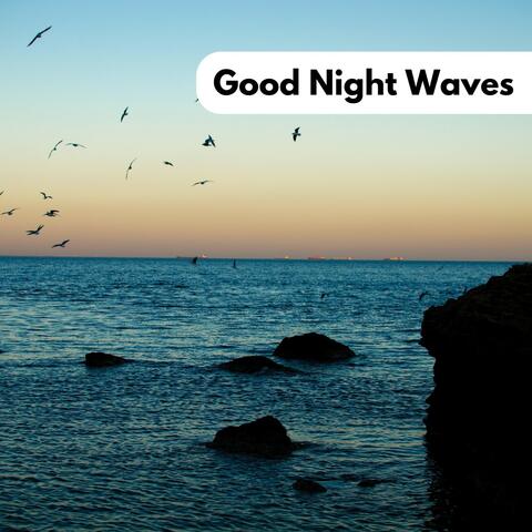 Good Night Waves