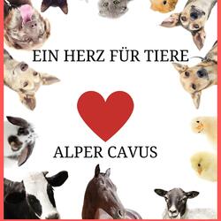 Ich habe dich immer in meinem Herzen