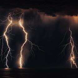 The Wide Open Storm in the Forest