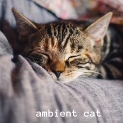 Cat Relax