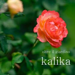 Oltre il giardino