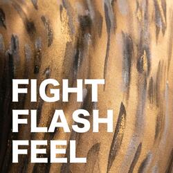 Fight Flash Feel