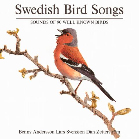 Swedish Birdsong (90 Well Known Birds)