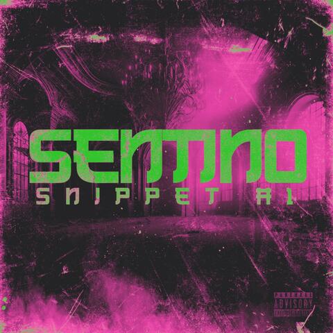 Snippet, Pt. 1