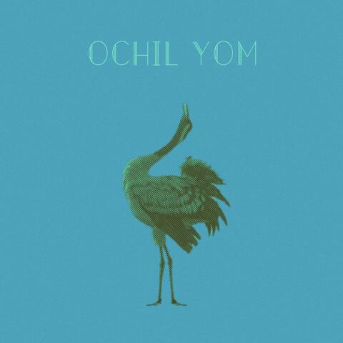 Ochil Yom - Y'didi Hashachachta