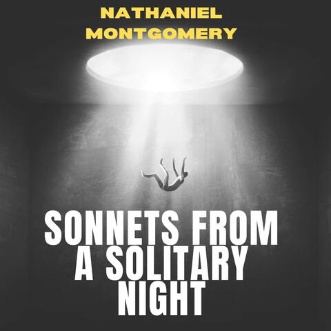 Sonnets from a Solitary Night