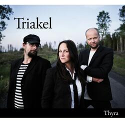 Om jag en gång skall ha en man