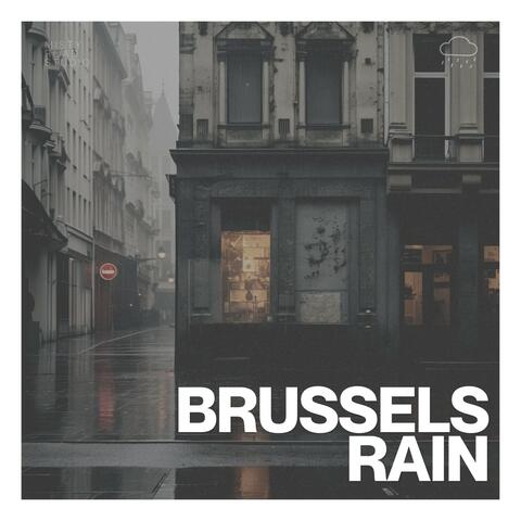 Brussels Rain