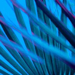 Late Night Movements