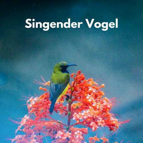 Singender Vogel