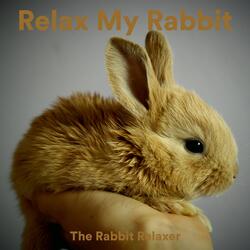 Rabbit Spa Music