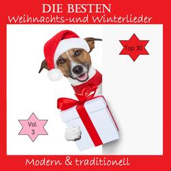 Dat Johr geiht to En'