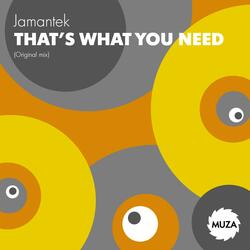 That's What You Need