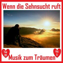 Jeder Stern der vom Himmel fällt