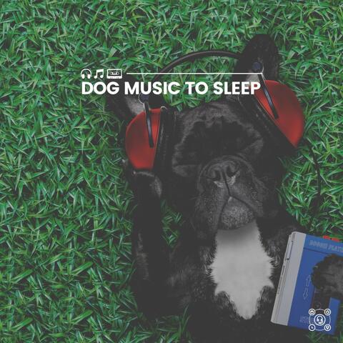 Dog Music to Sleep