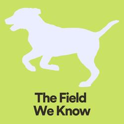 Anxiety Relief Music for Your Dog, Pt. 2