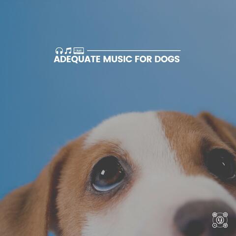 Adequate Music for Dogs