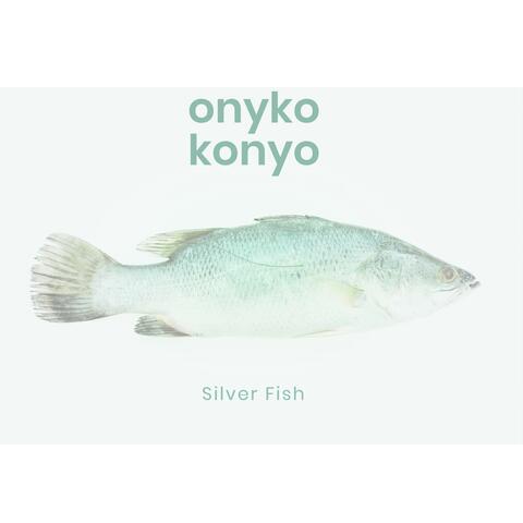 Silver Fish