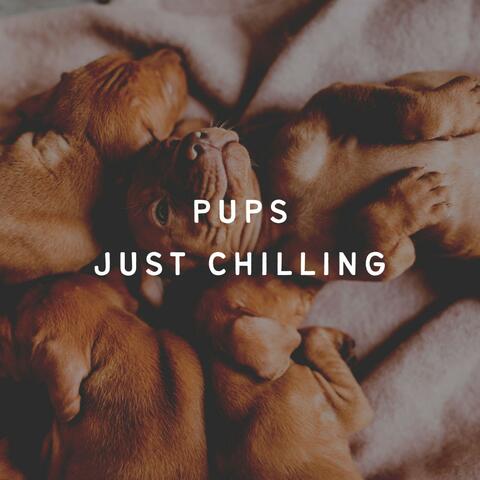 Pups Just Chilling