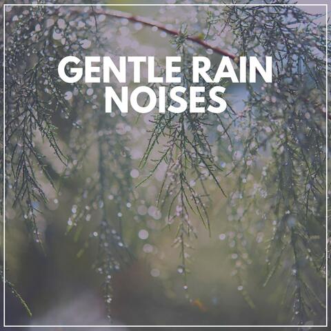 Gentle Rain Noises