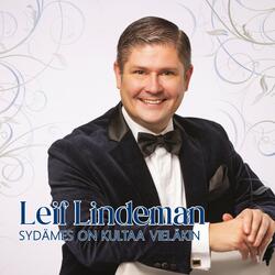 Yön tummat silmät