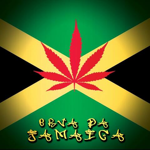 Erva da Jamaica