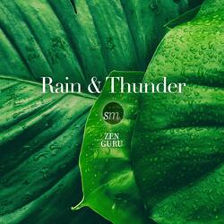 Heavy Rain for Sleep