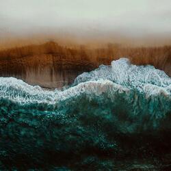 Free Ocean