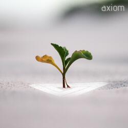Axiom