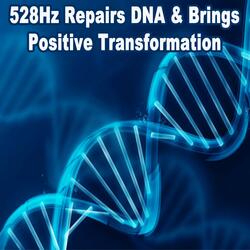 Cell Structure Regeneration