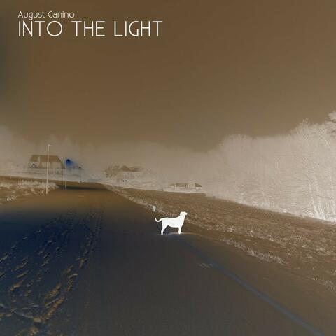 Into the Light