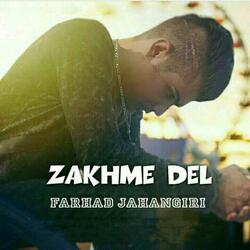 Zakhme Del