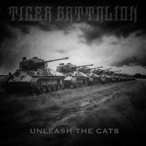 Unleash the Cats