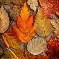 Floating Through Time