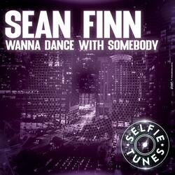 Wanna Dance with Somebody