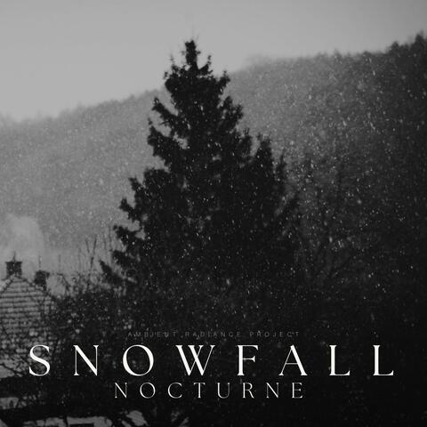 Snowfall Nocturne