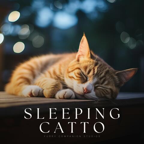 Relaxing Cat Music