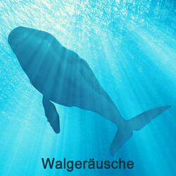 Binaurale Walgeräusche