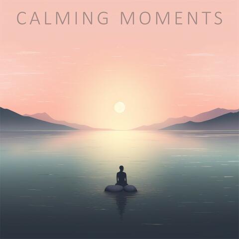 Calming Moments