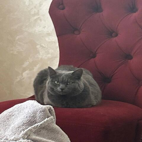 Kit