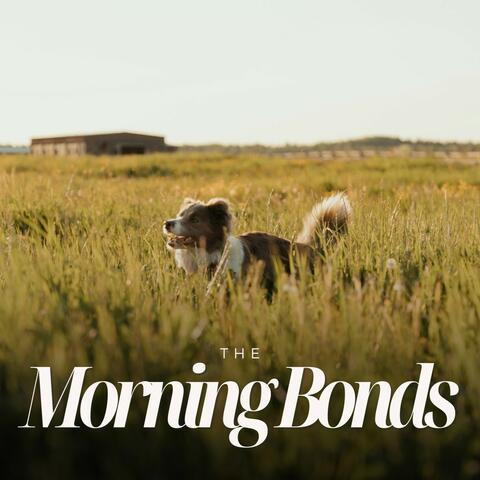 Morning Bonds