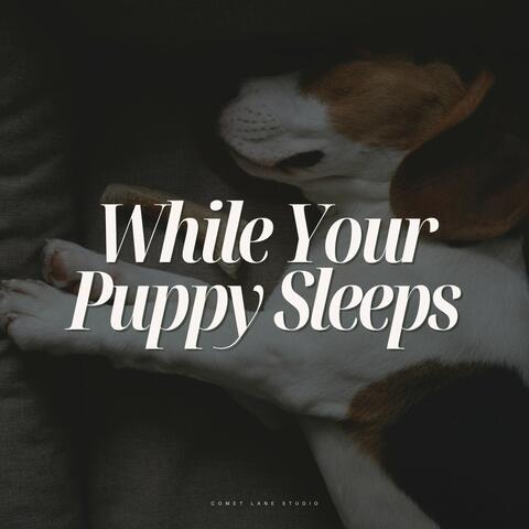 While Your Puppy Sleeps