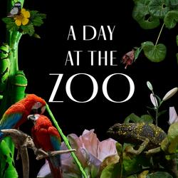 A Day at the Zoo