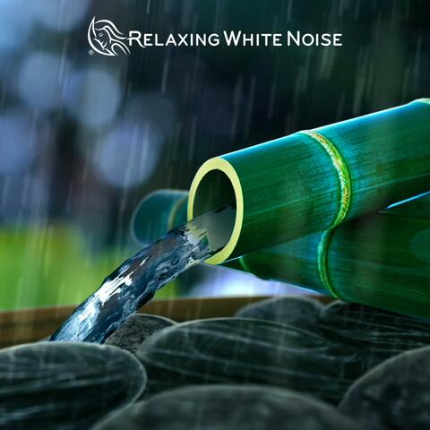 Rain + Bamboo Fountain Sleep Sounds (Loop, No Fade)