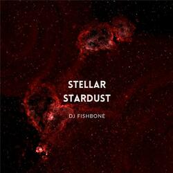 Stellar Stardust