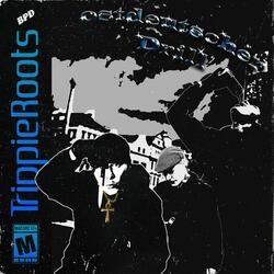 Ostdeutscher Drill Prt.1