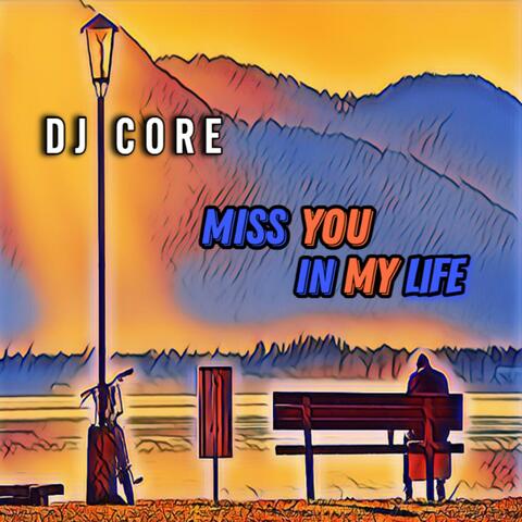Miss You in My Life